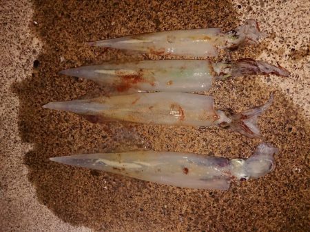 かなりのウネリの中で